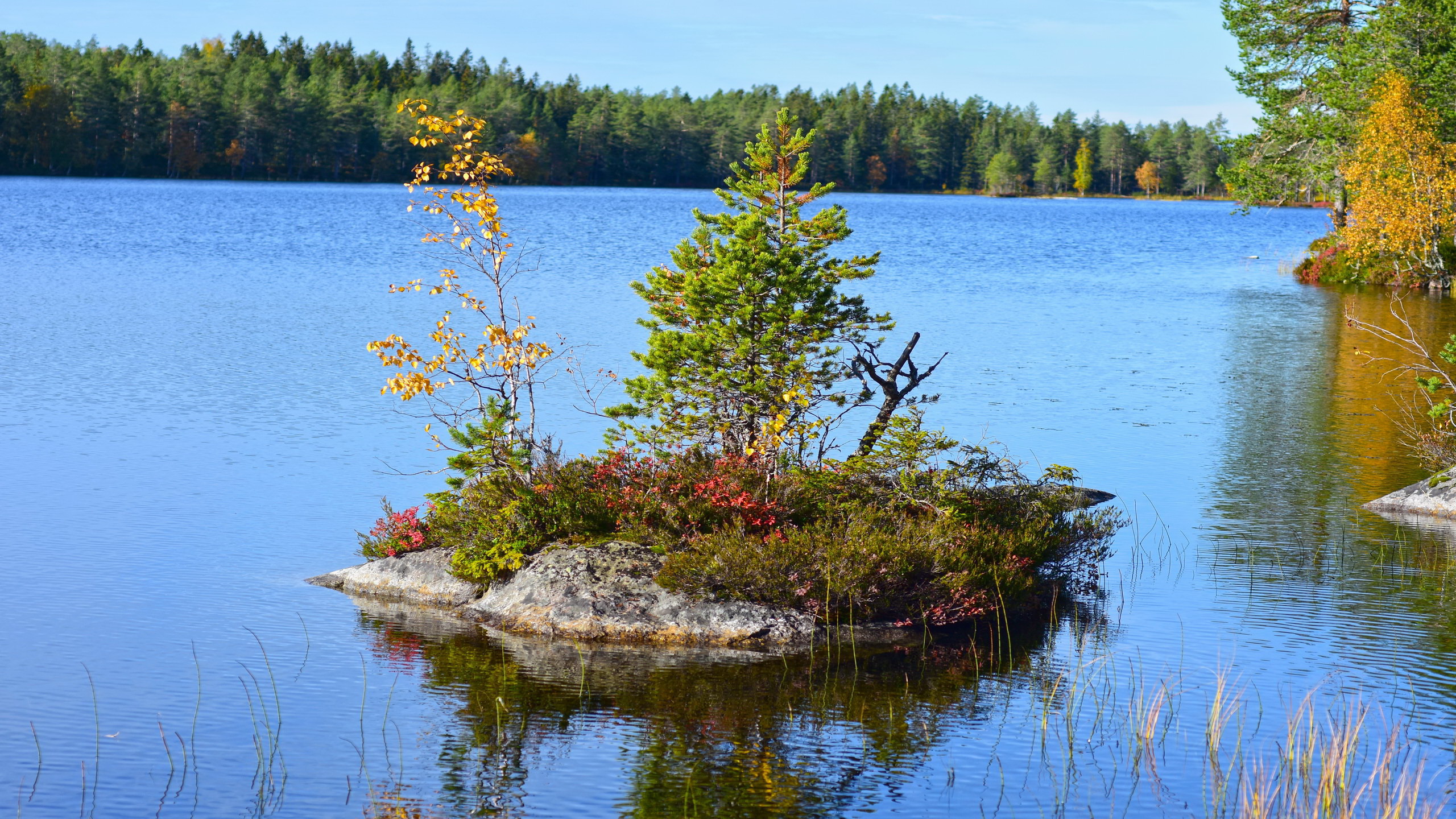 Bergsjön