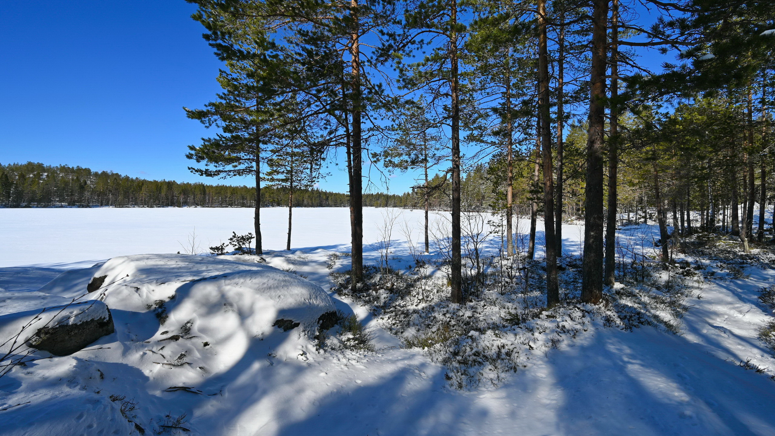 Bergsjön