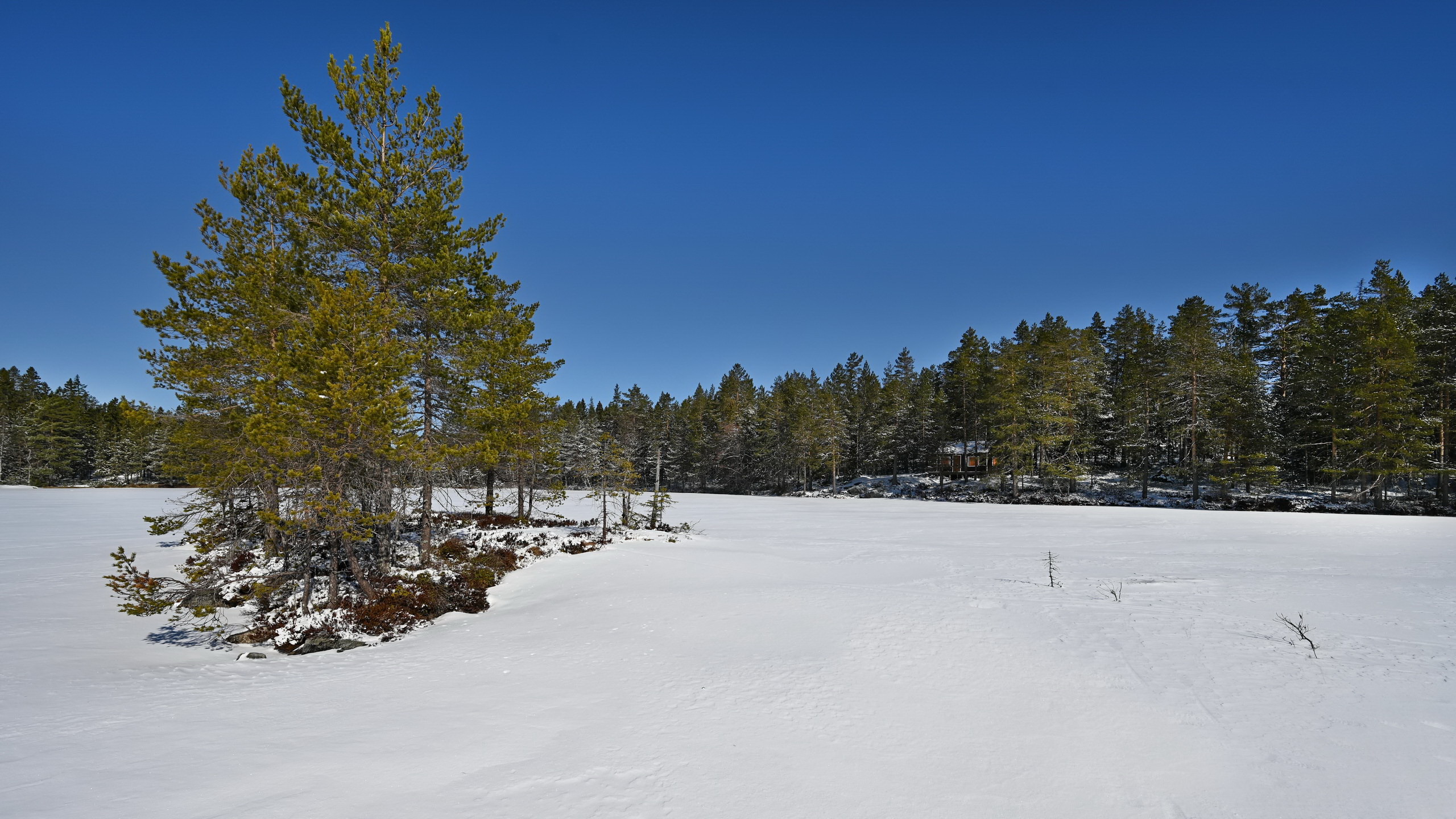 Bergsjön