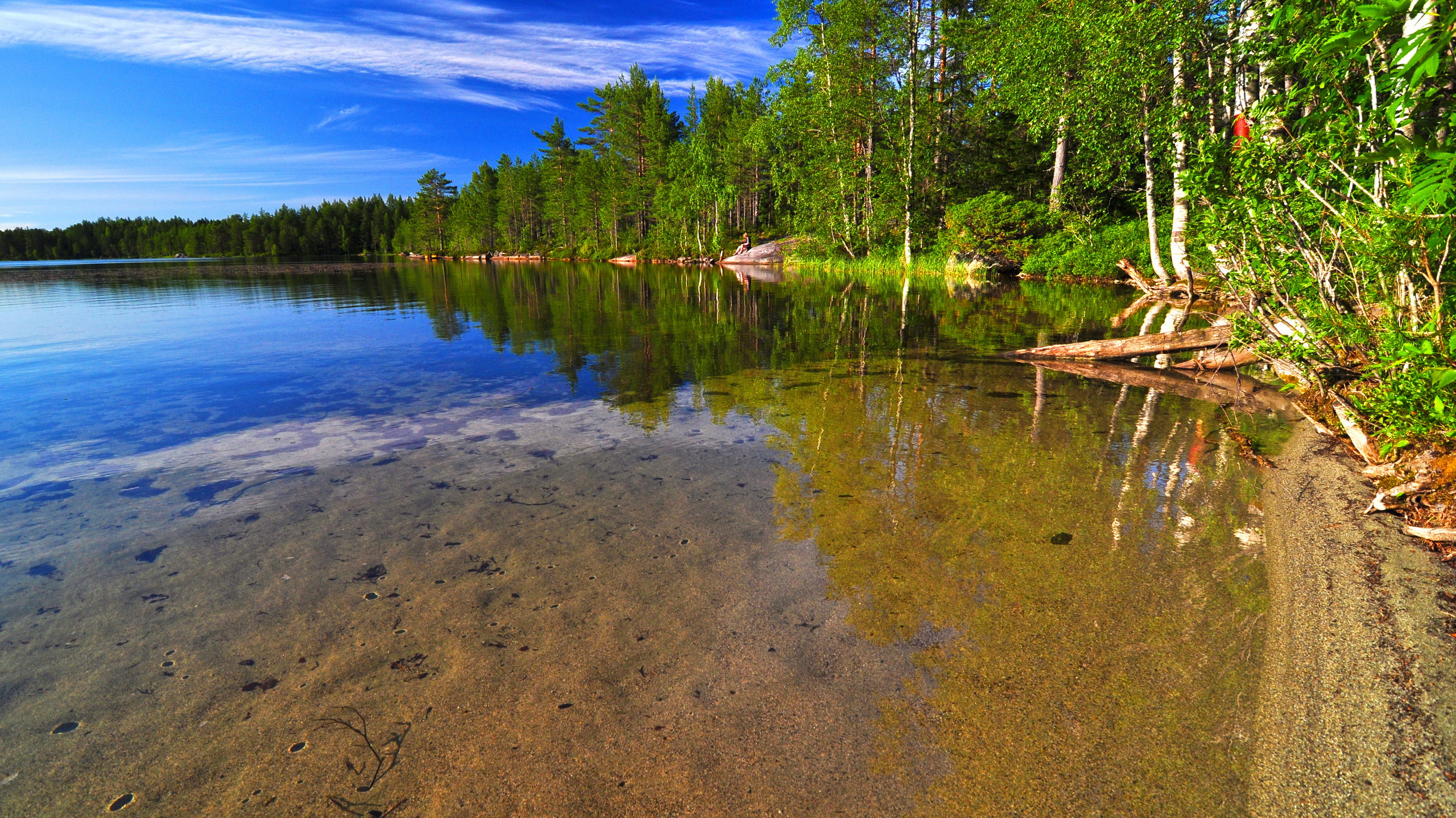 Bergsjön