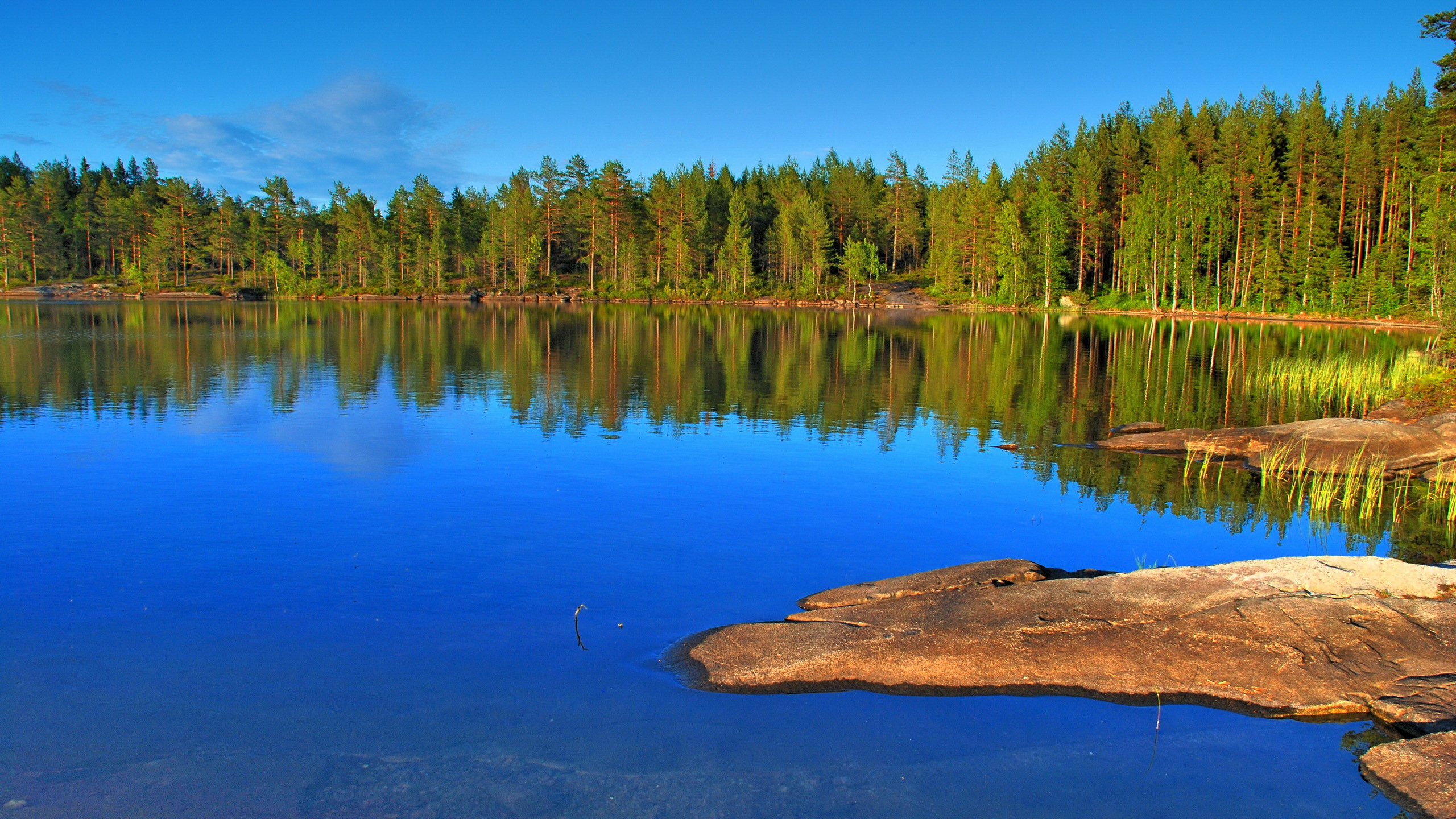 Bergsjön