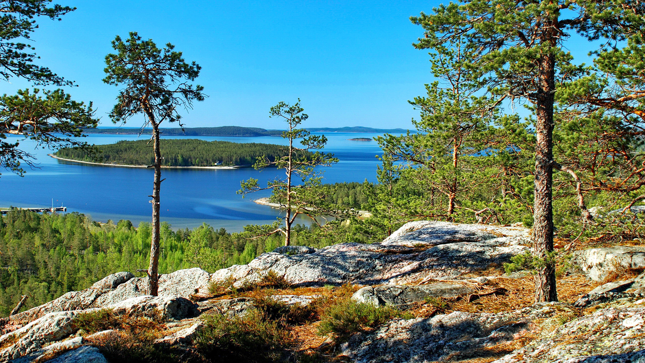 Utsikt från Ögeltjärnsberget.