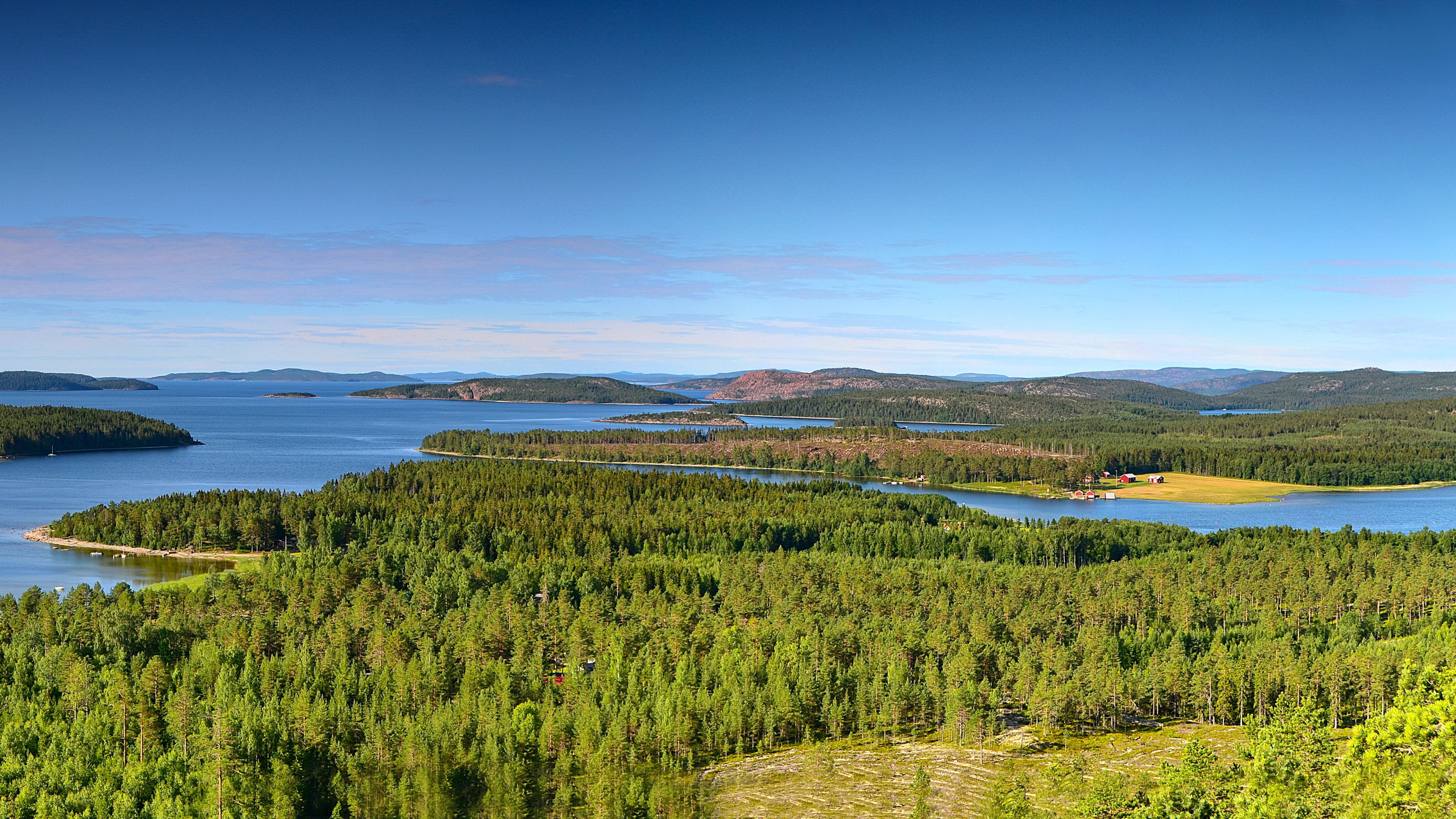 Utsikt från Ögeltjärnsberget.