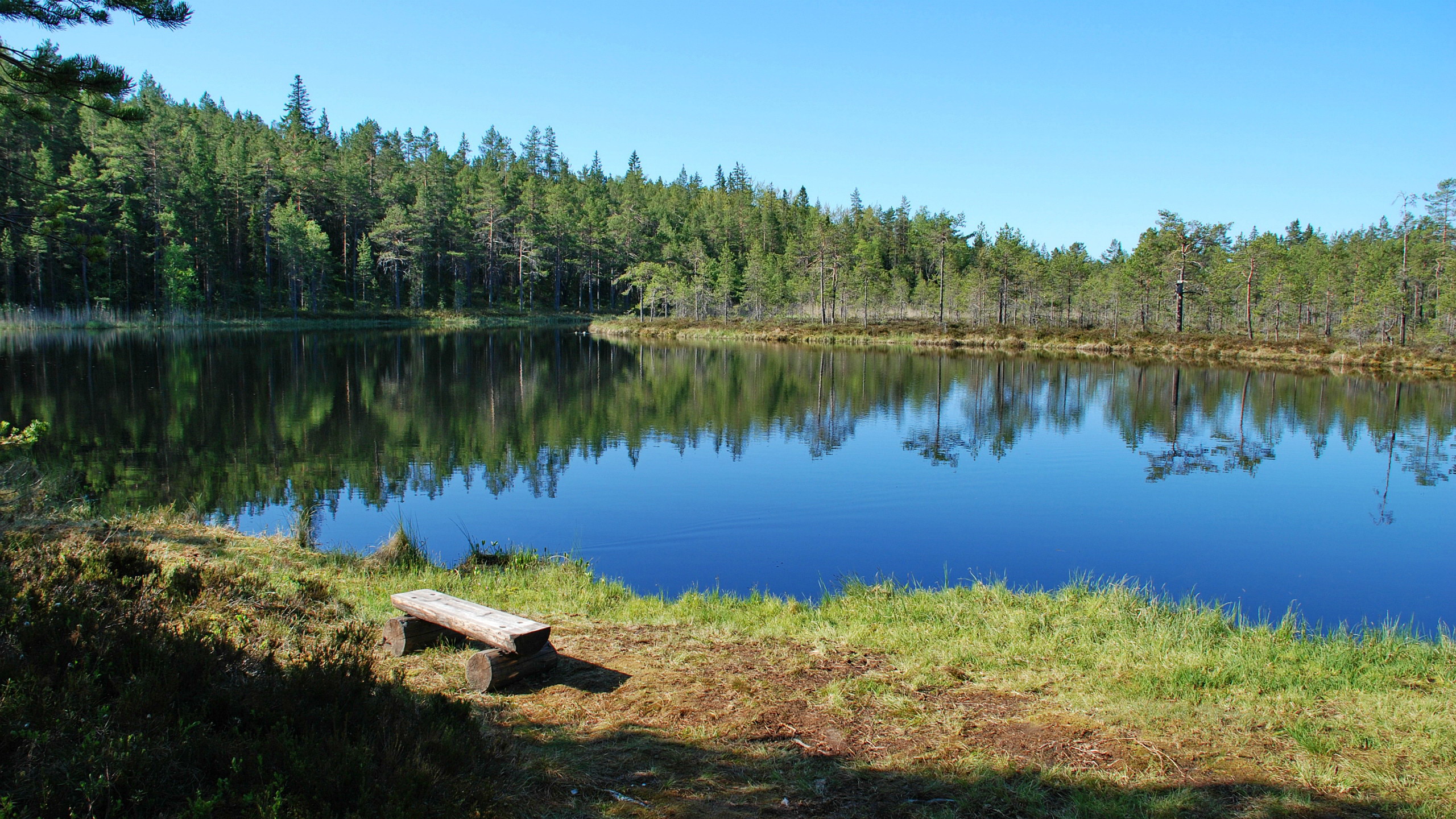 Ögeltjärnsberget - Ögeltjärn