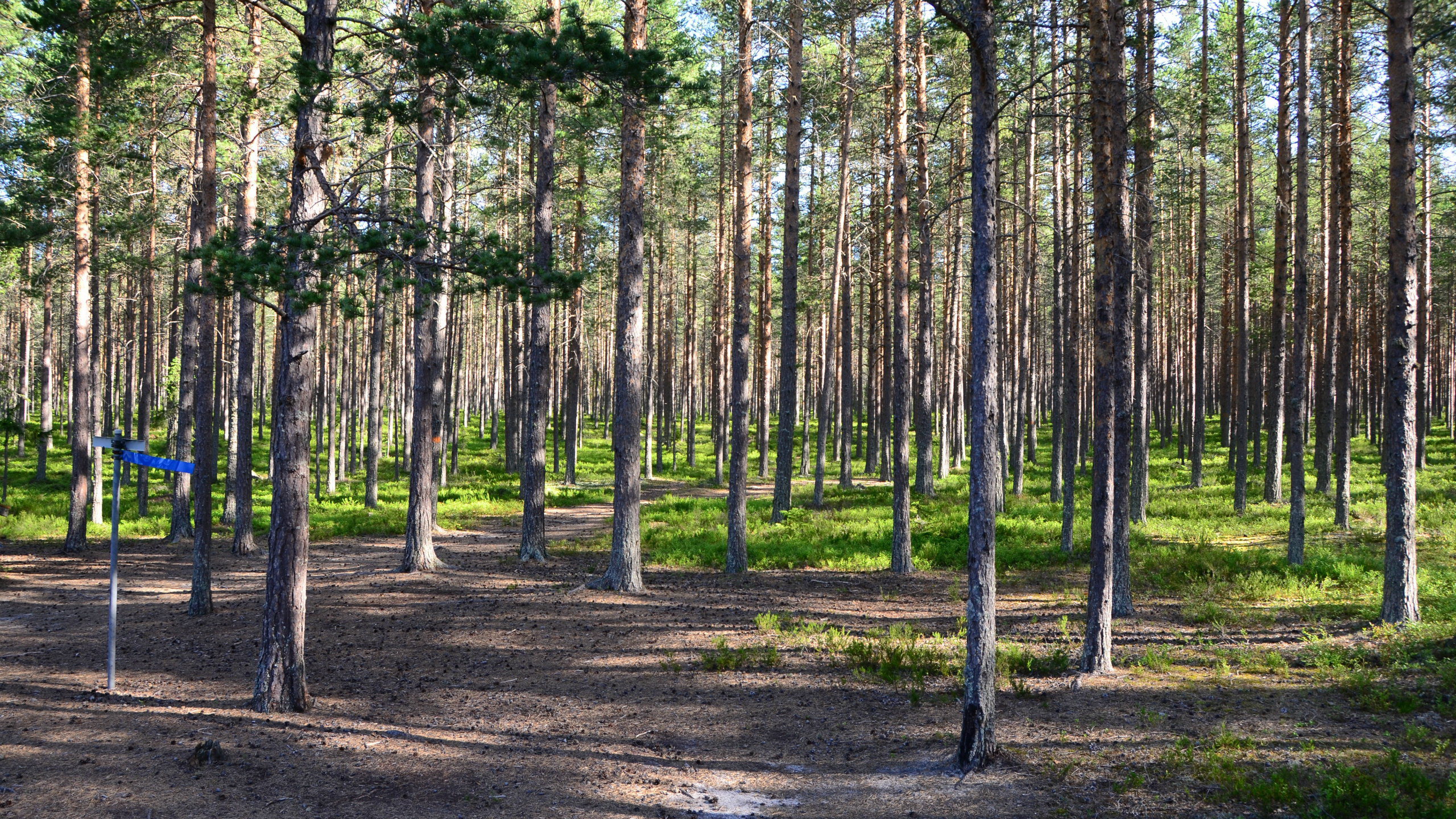 Ögeltjärnsberget