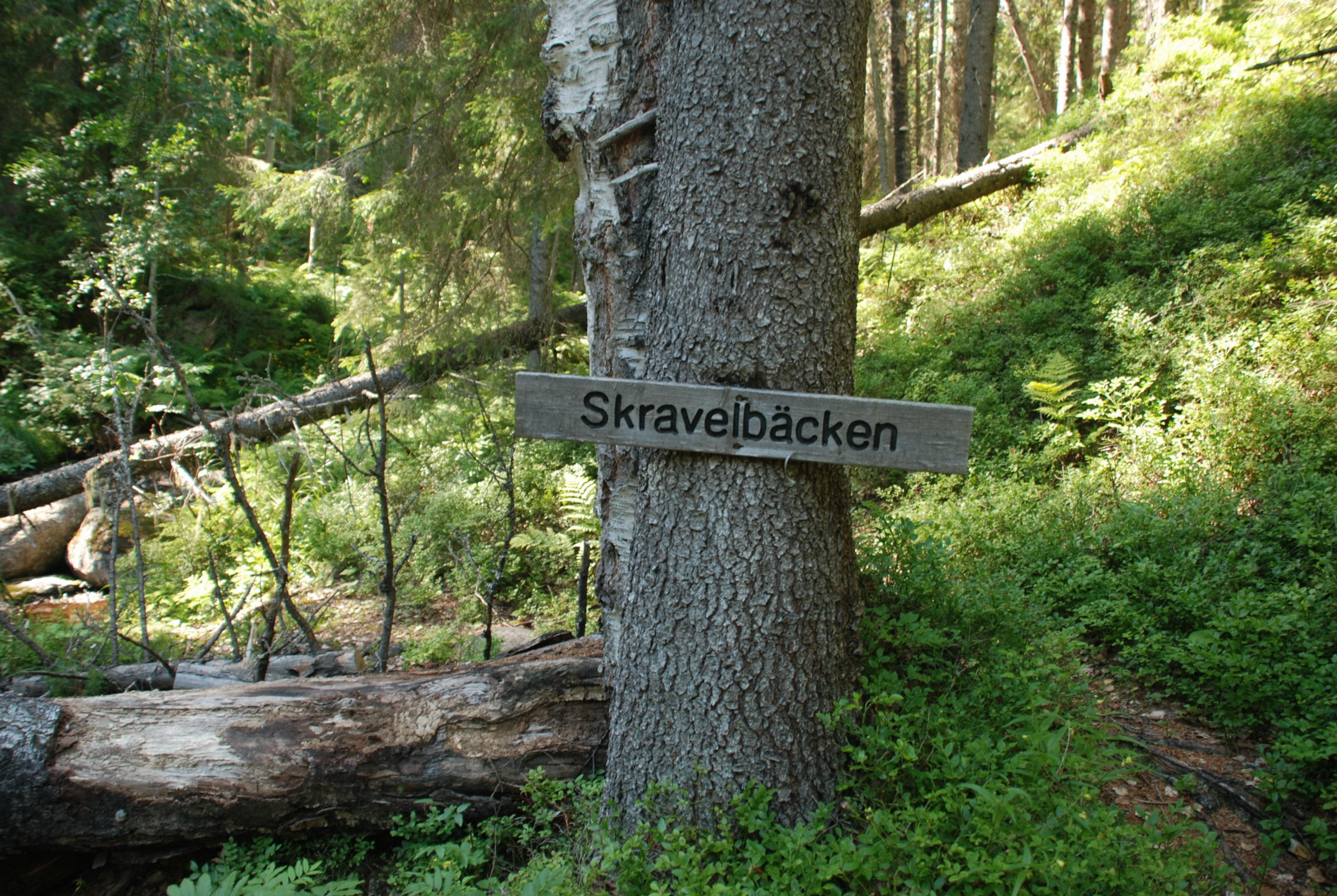 Utflykt till Slåttdalsberget.