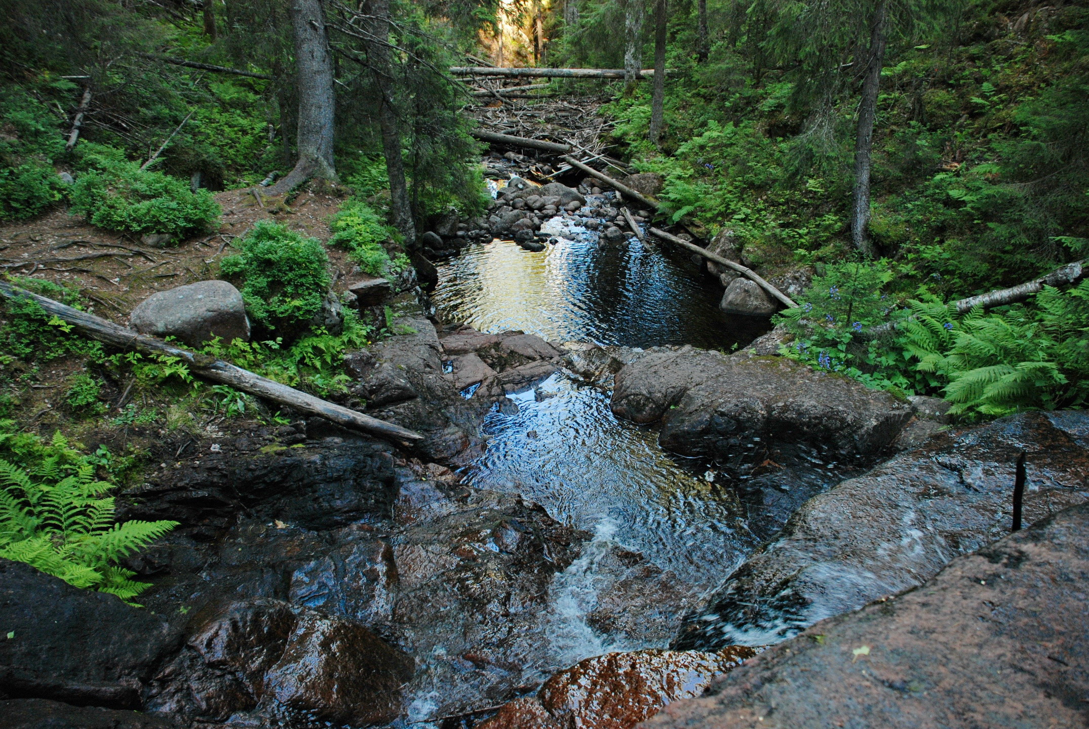 Utflykt till Slåttdalsberget.