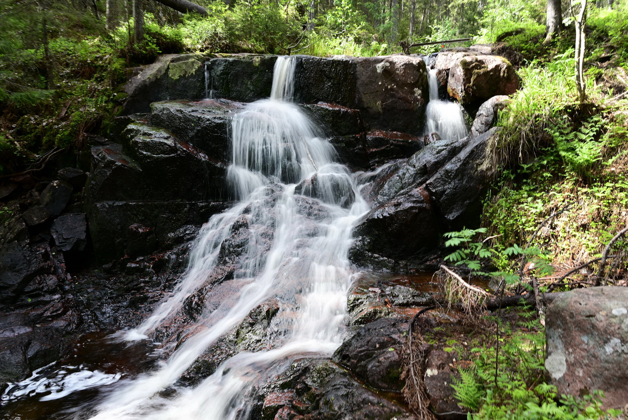 Utflykt till Slåttdalsberget.