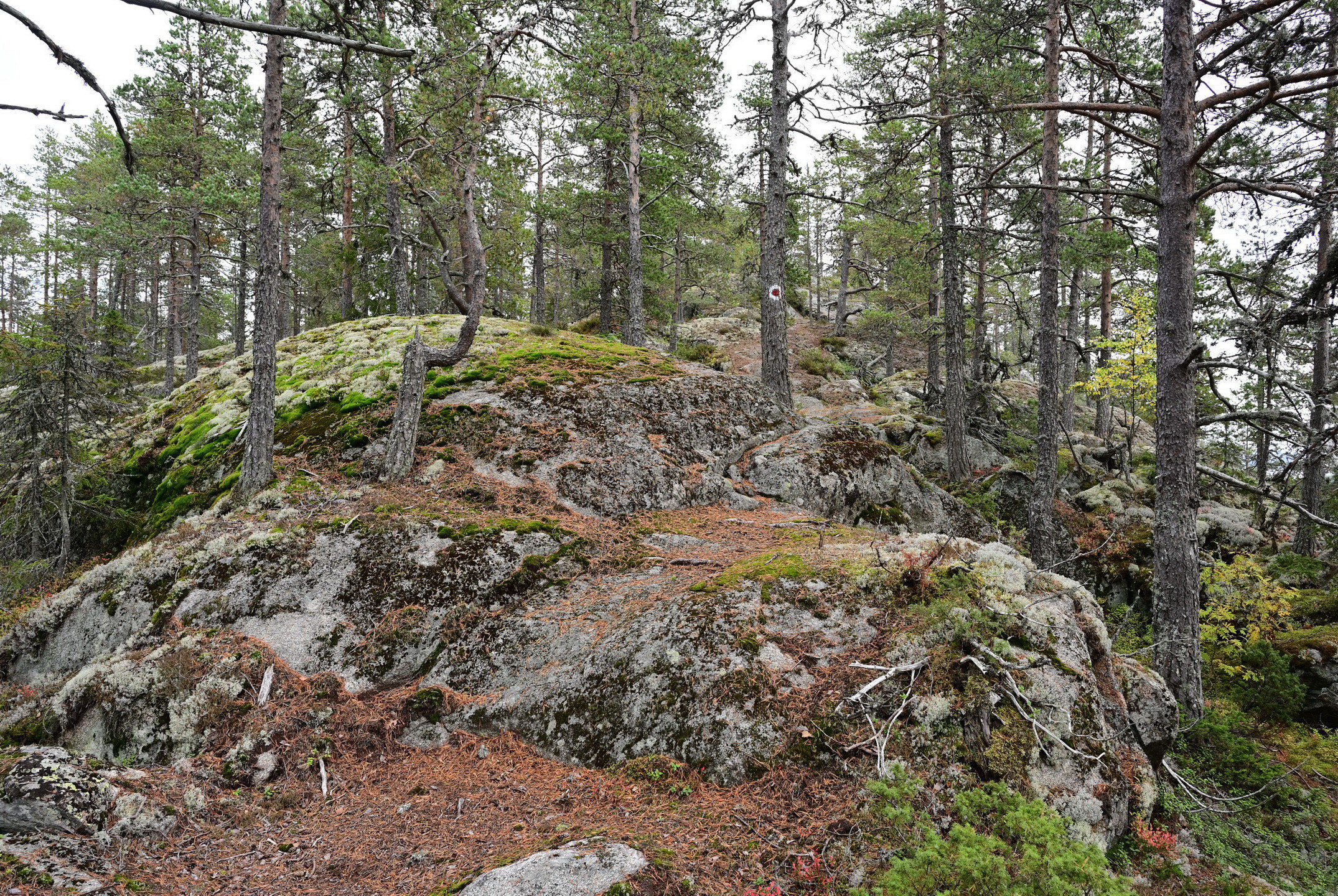 Stranneberget