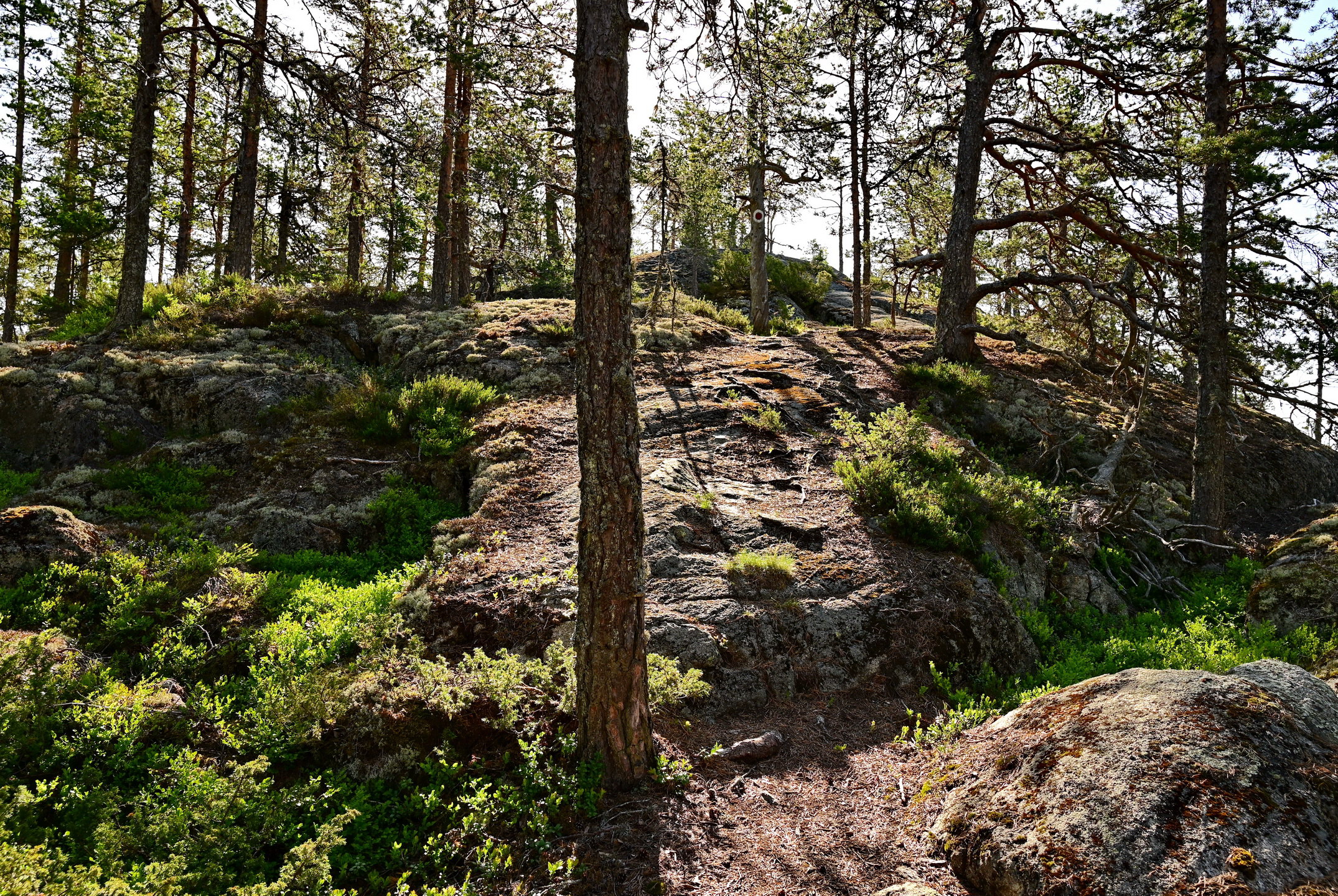 Stranneberget