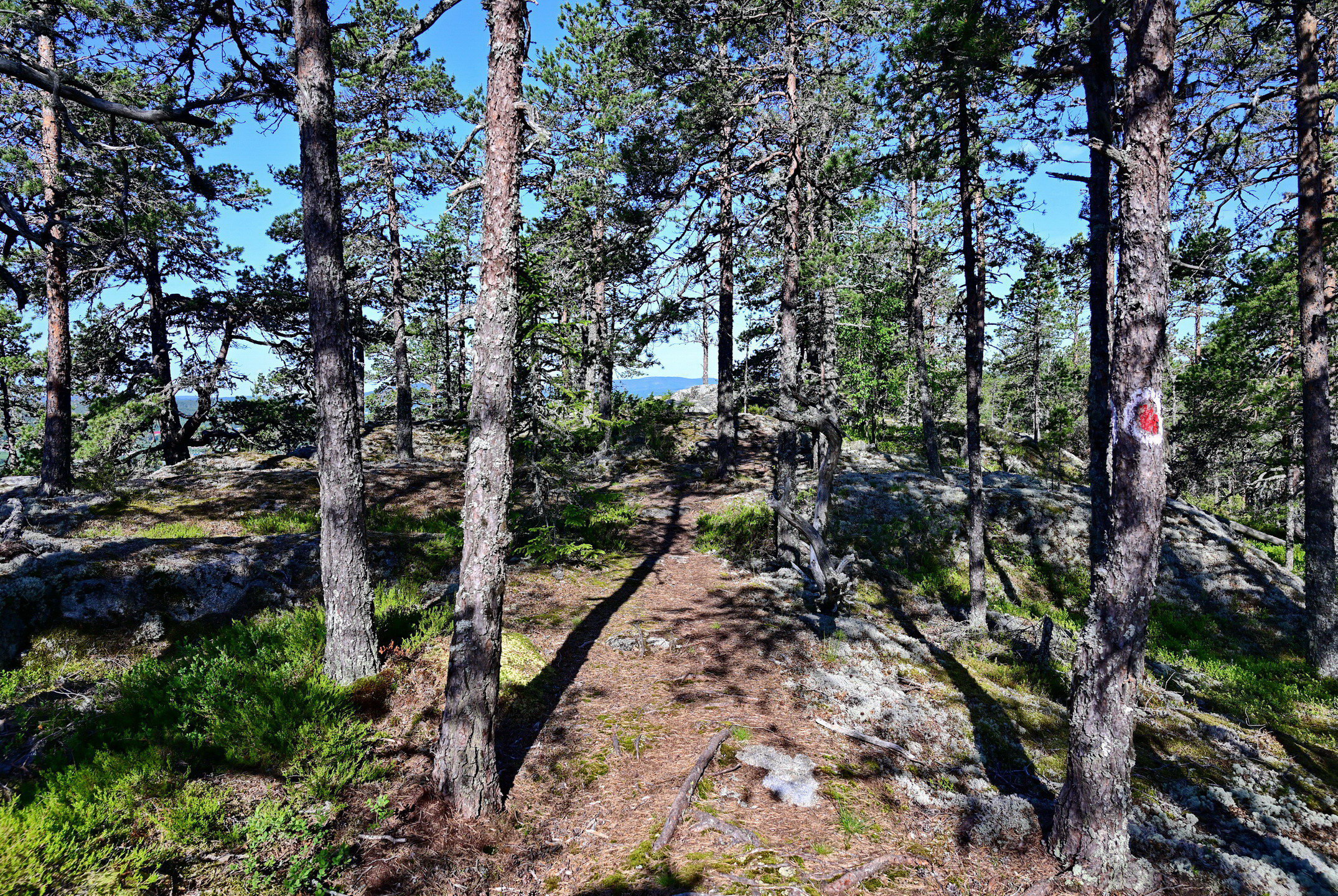 Stranneberget