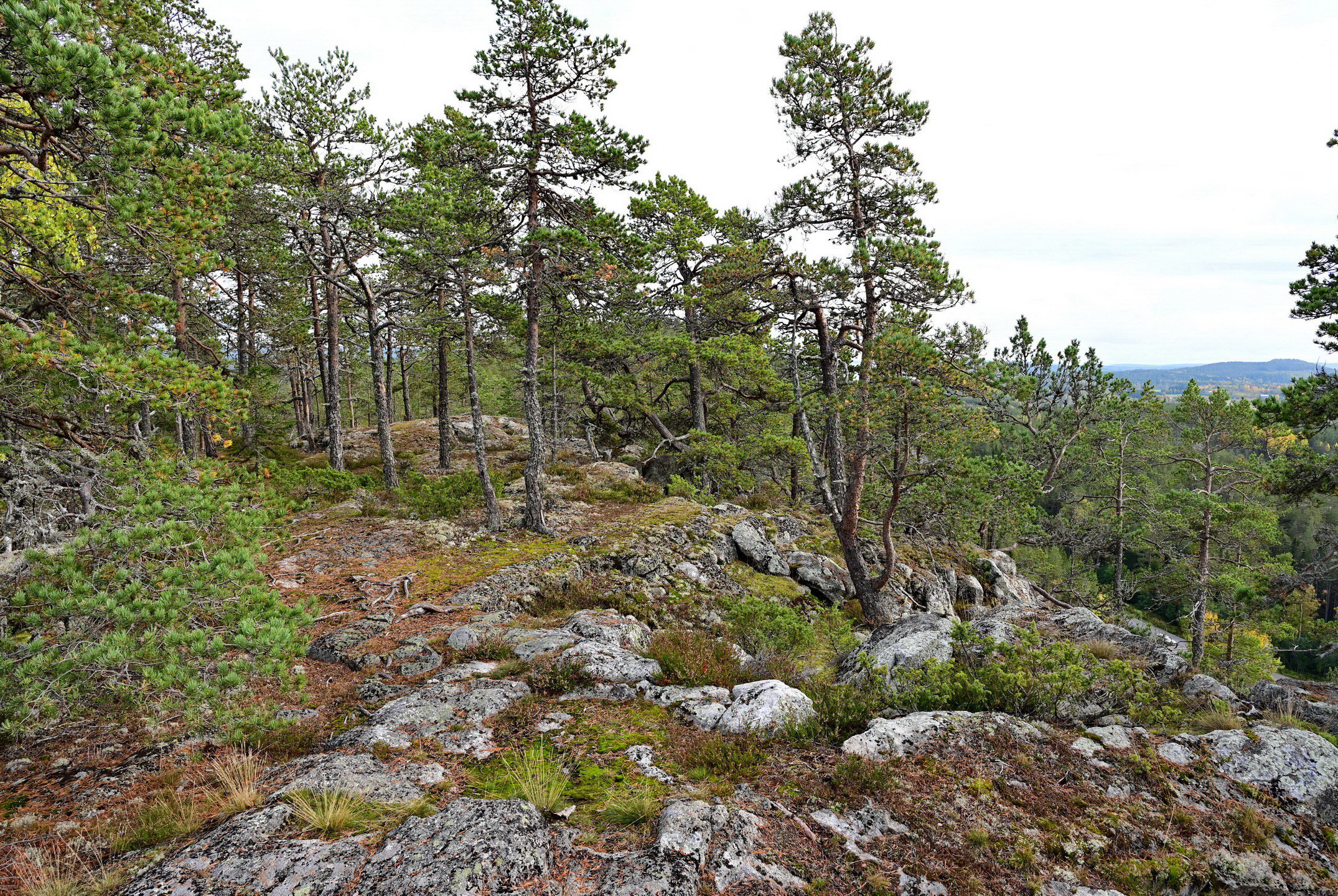 Stranneberget