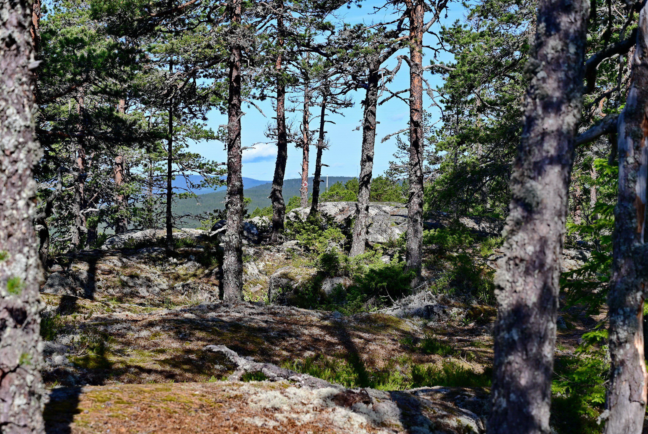 Stranneberget