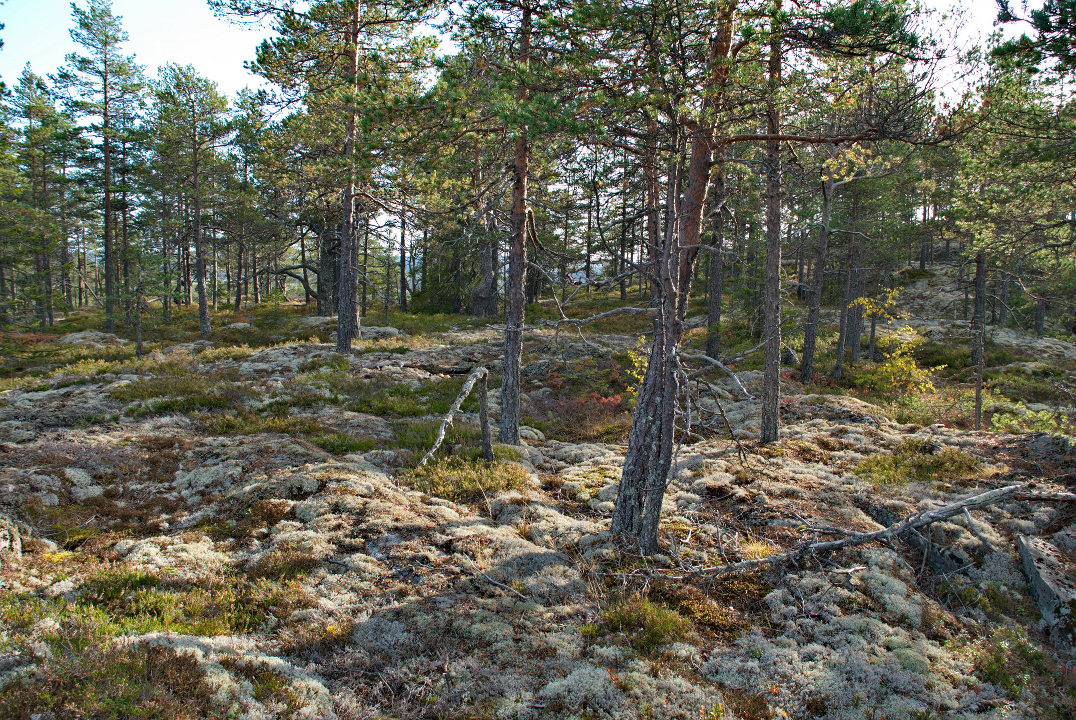 Stranneberget